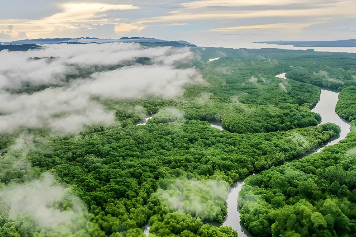 Kinabatangan