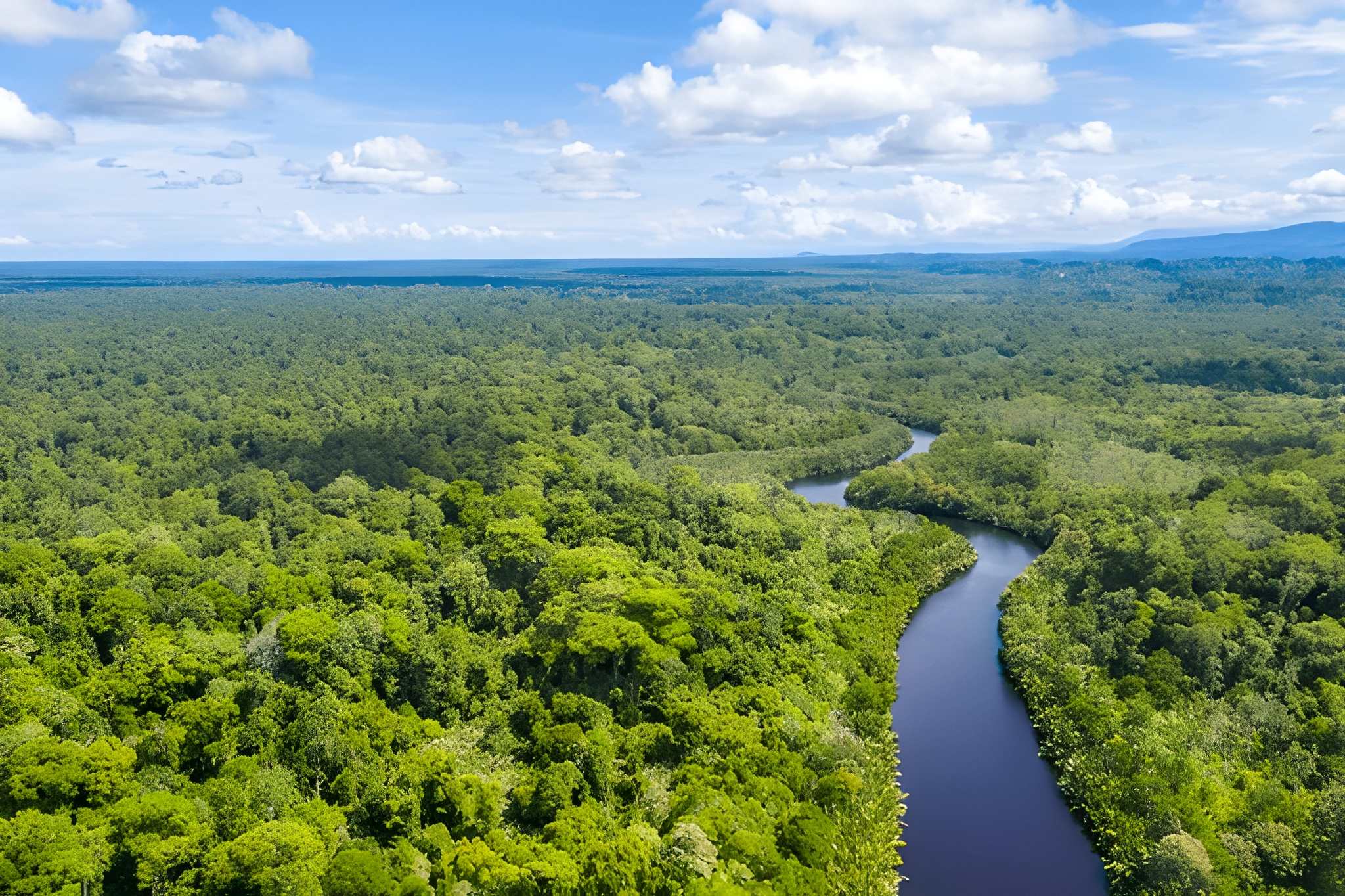 Kinabatangan