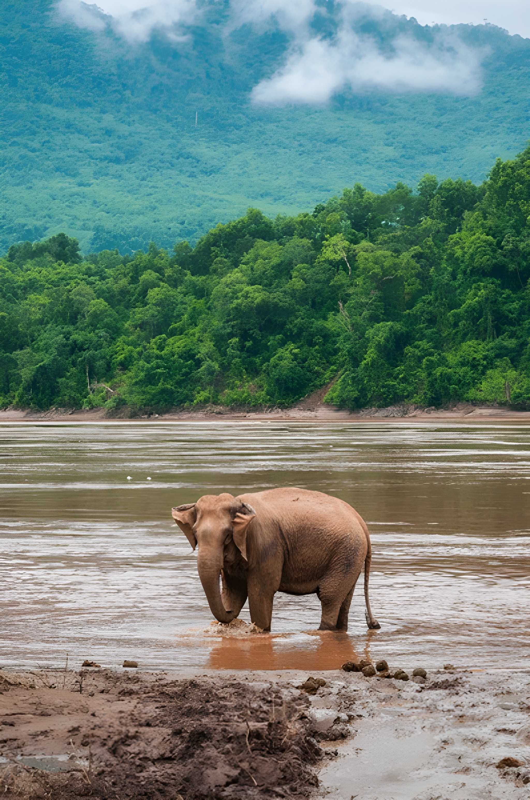 Laos, Cambodia & Vietnam Holidays