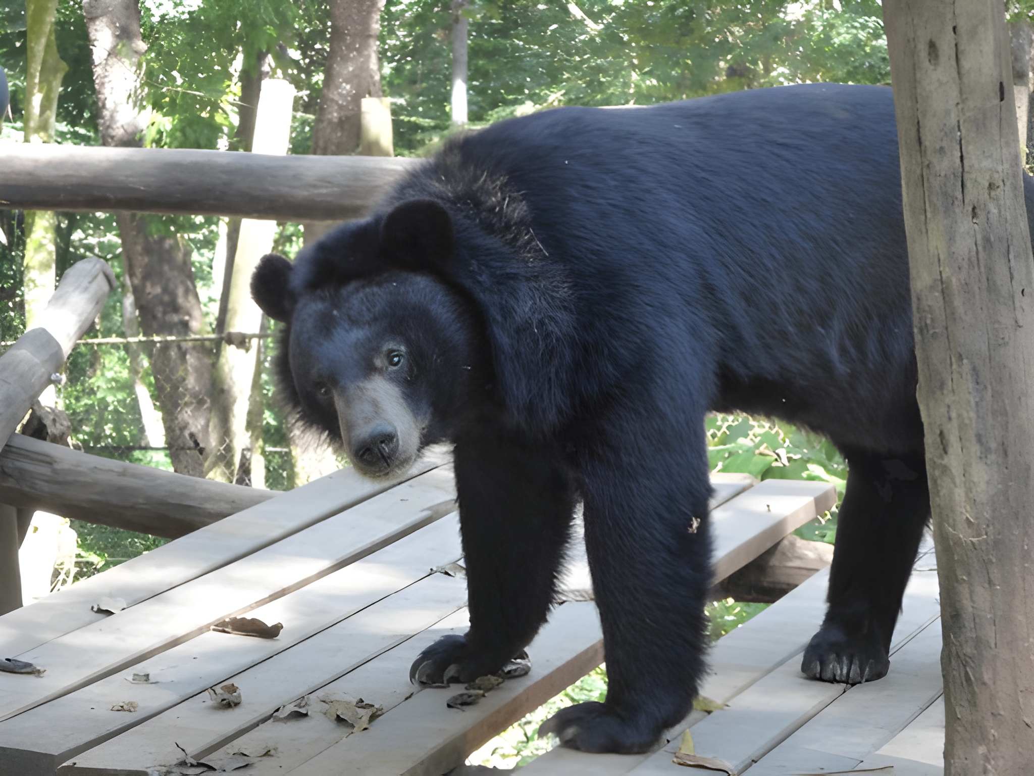 Laos, Cambodia & Vietnam Holidays