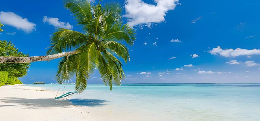 Barbados & The Grenadines - 10 Nights