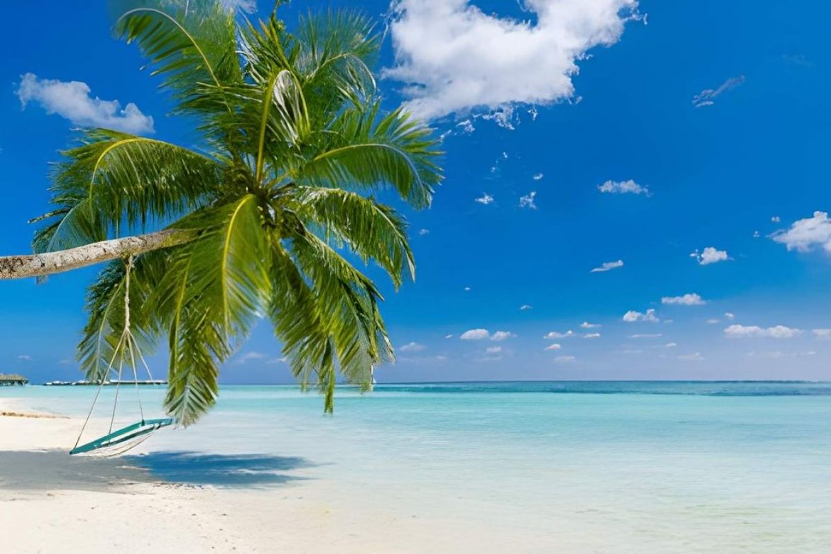 Barbados & The Grenadines - 10 Nights