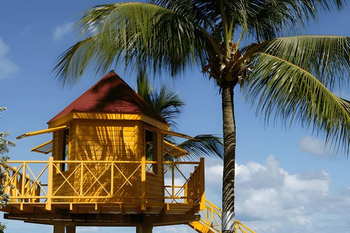 Barbados & The Grenadines - 10 Nights