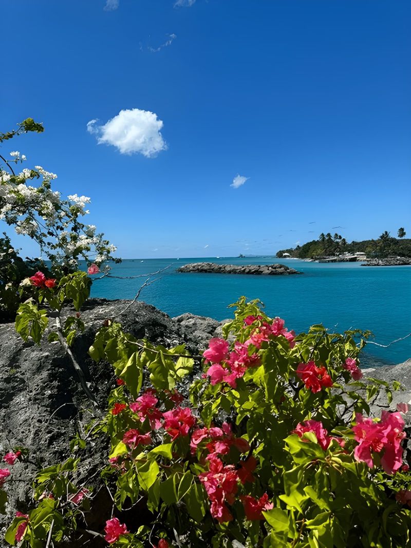 Southern Caribbean
