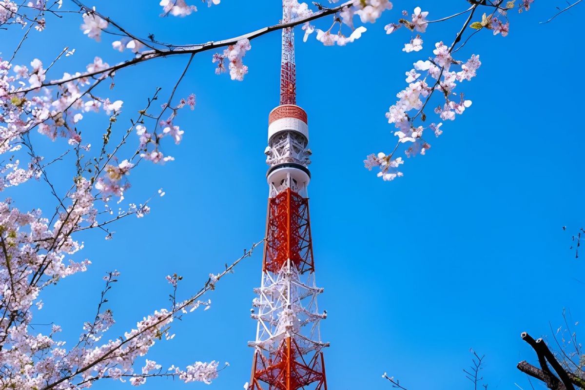japan cruise holidays