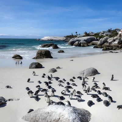 Cape Town Holiday