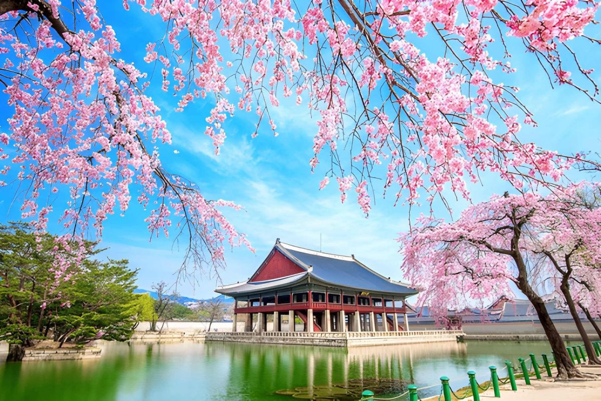 Seoul & Jeju Island Getaway: Discover South Korea – 7 Nights