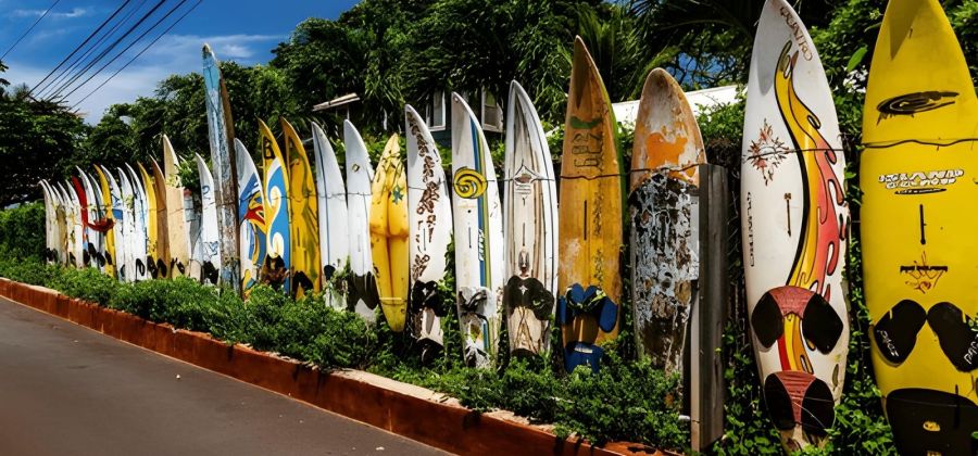 Discover Hawaii: Oahu & Maui – 8 Nights