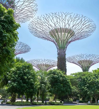 Singapore, Perth and Bali Holiday