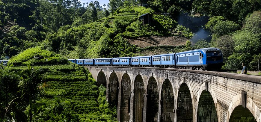 Sri Lanka Tea Trails: Ceylon Tea & Colonial Charm – 6 Nights
