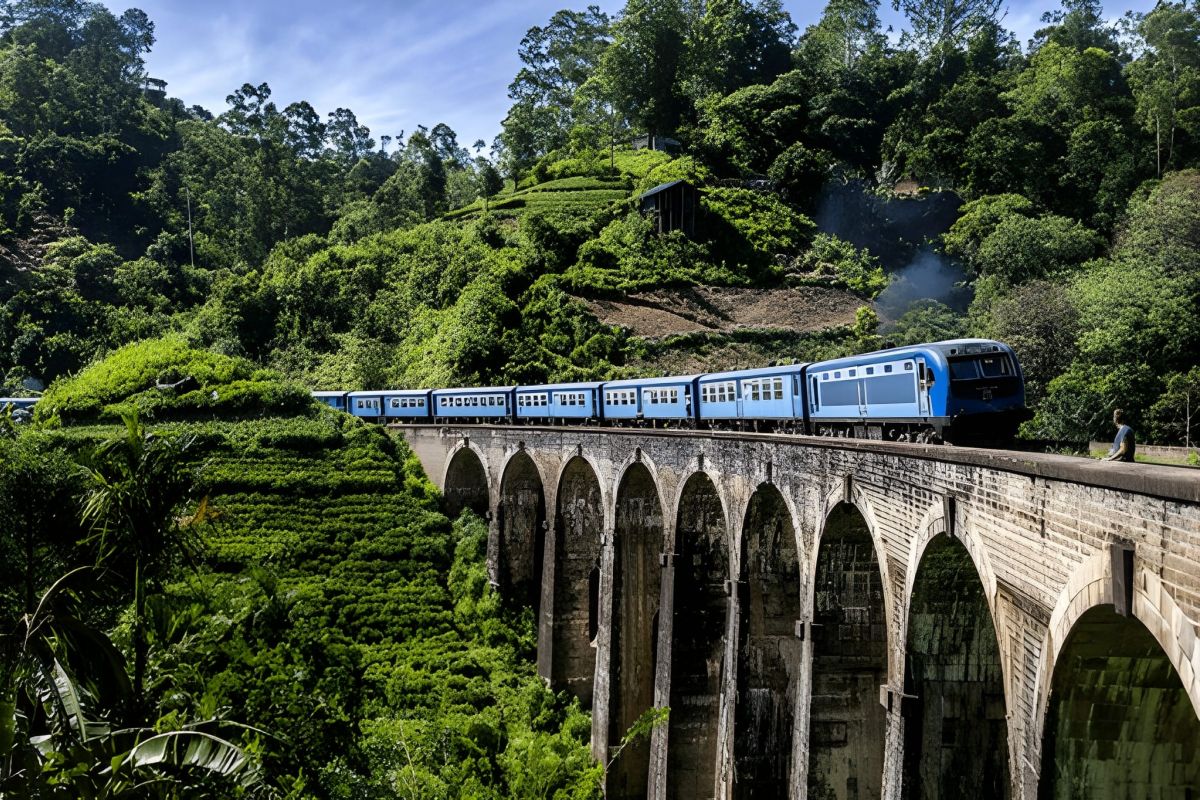 Sri Lanka Tea Trails: Ceylon Tea & Colonial Charm – 6 Nights