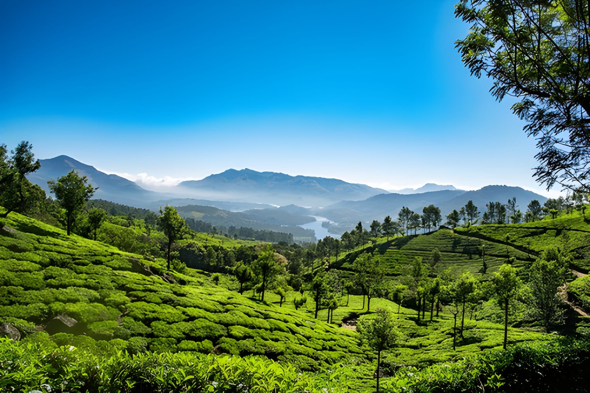 Kerala: A Journey Through Nature & Luxury