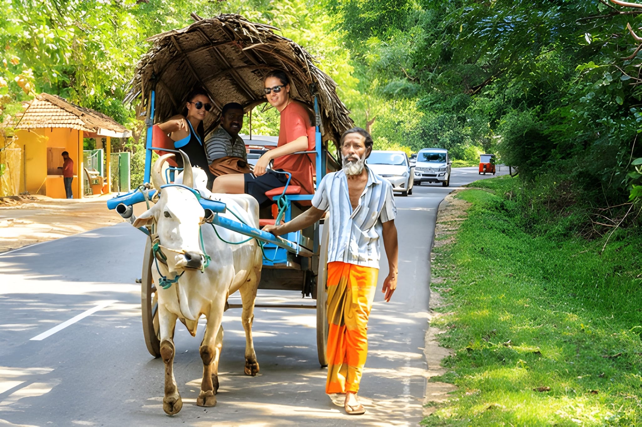 Discover Sri Lanka: From Ancient Wonders to Coastal Bliss