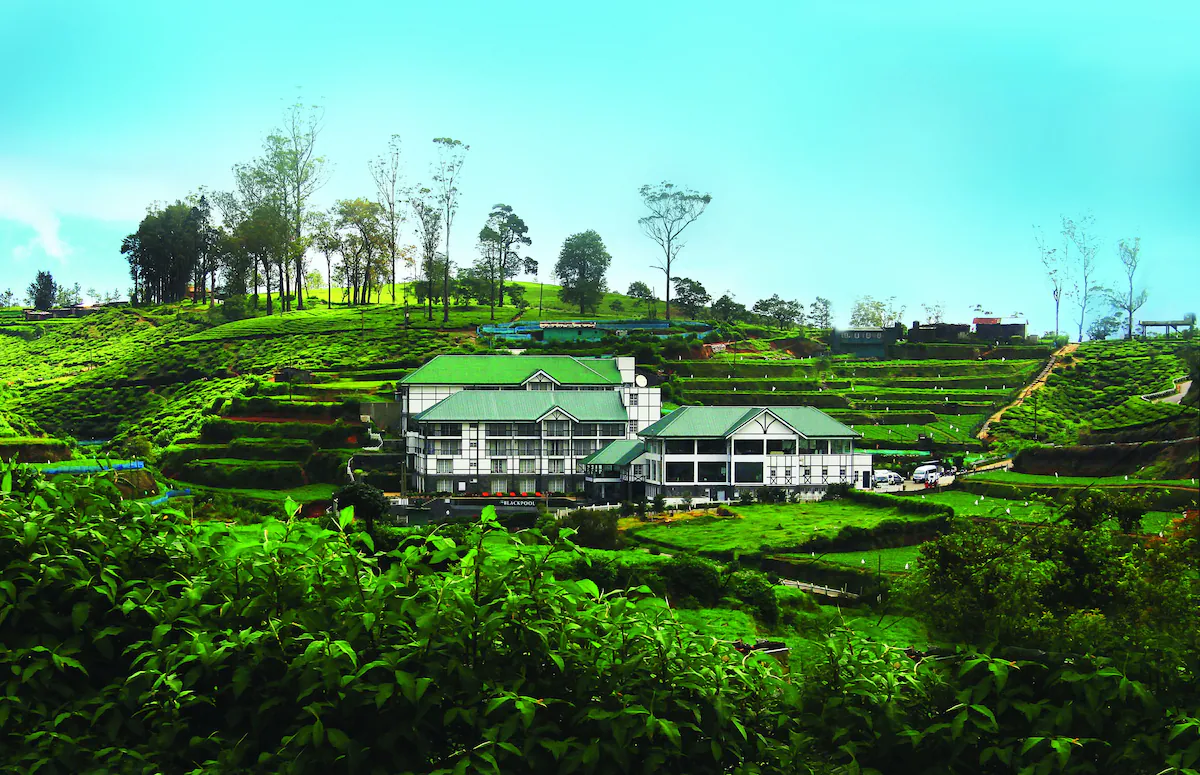 Nuwara Eliya