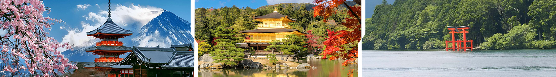 Essence of Japan: Tokyo, Hakone & Kyoto - 7 Nights