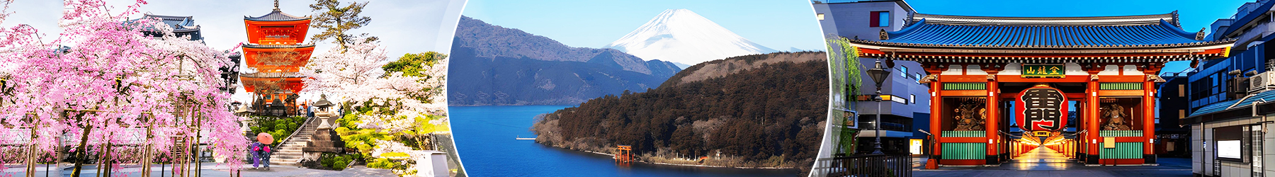 Essence of Japan: Tokyo, Hakone & Kyoto - 7 Nights
