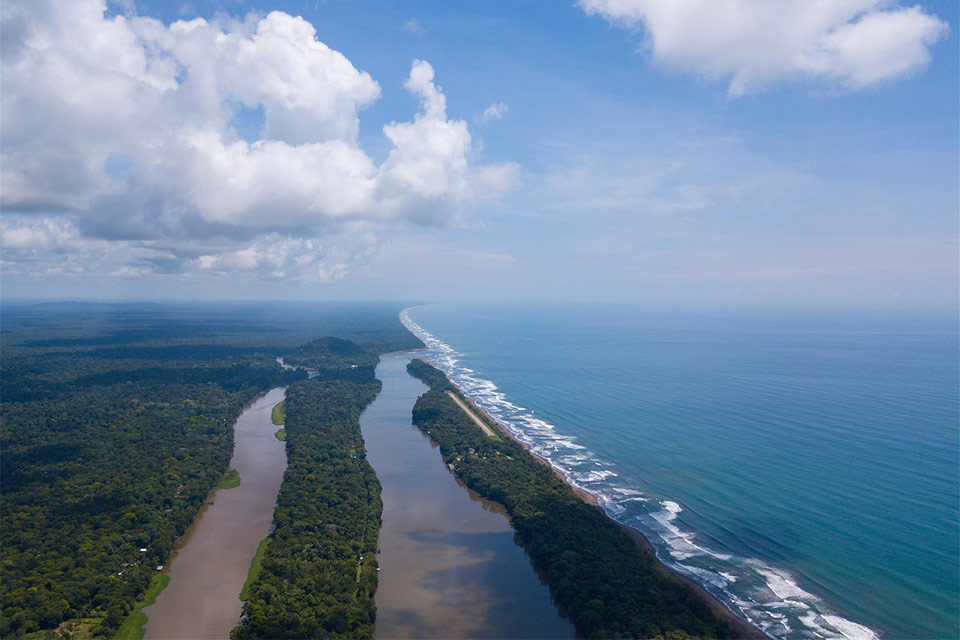 Tortuguero