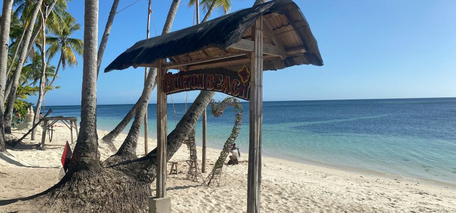 Manila, Cebu, Dumaguete, Siquijor & Bohol Holiday