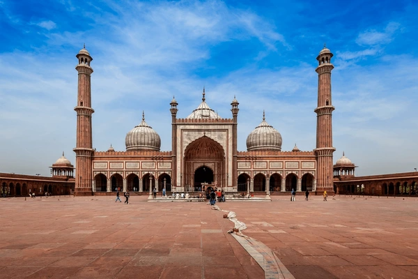 Delhi Holiday
