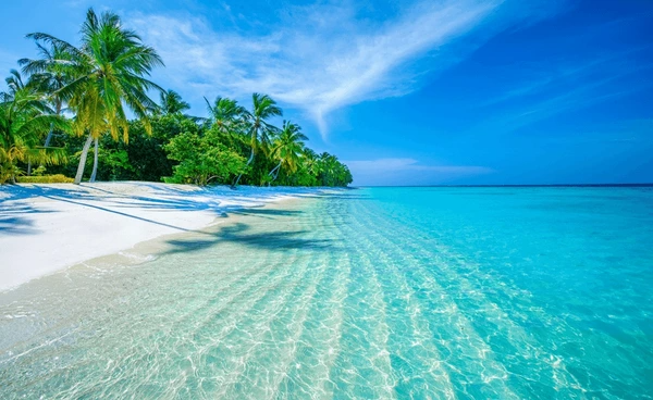 Maldives Holiday