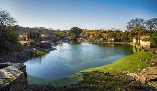 Ranthambore Holiday