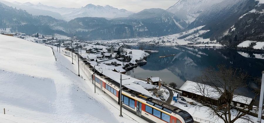 Lucerne