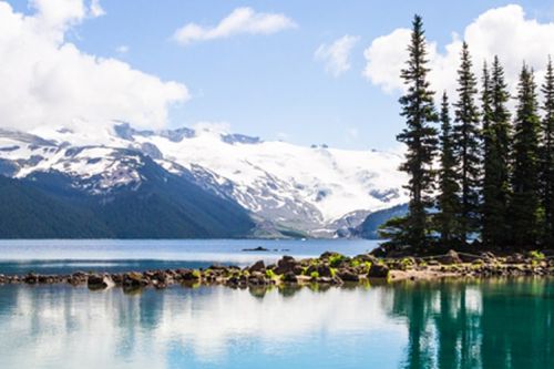 Whistler